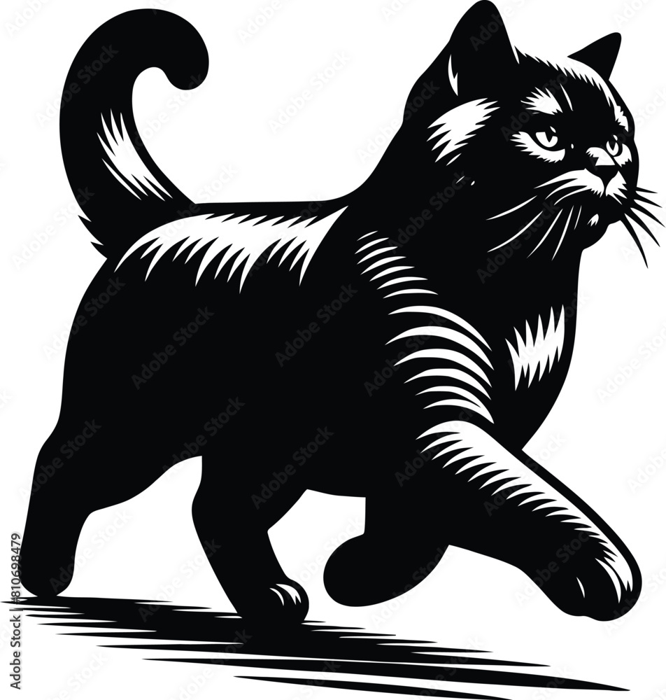 Obraz premium cat silhouette vector