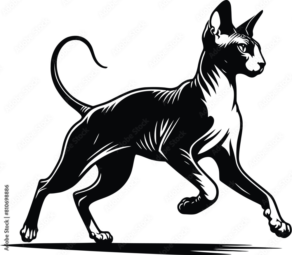 Fototapeta premium cat silhouette vector