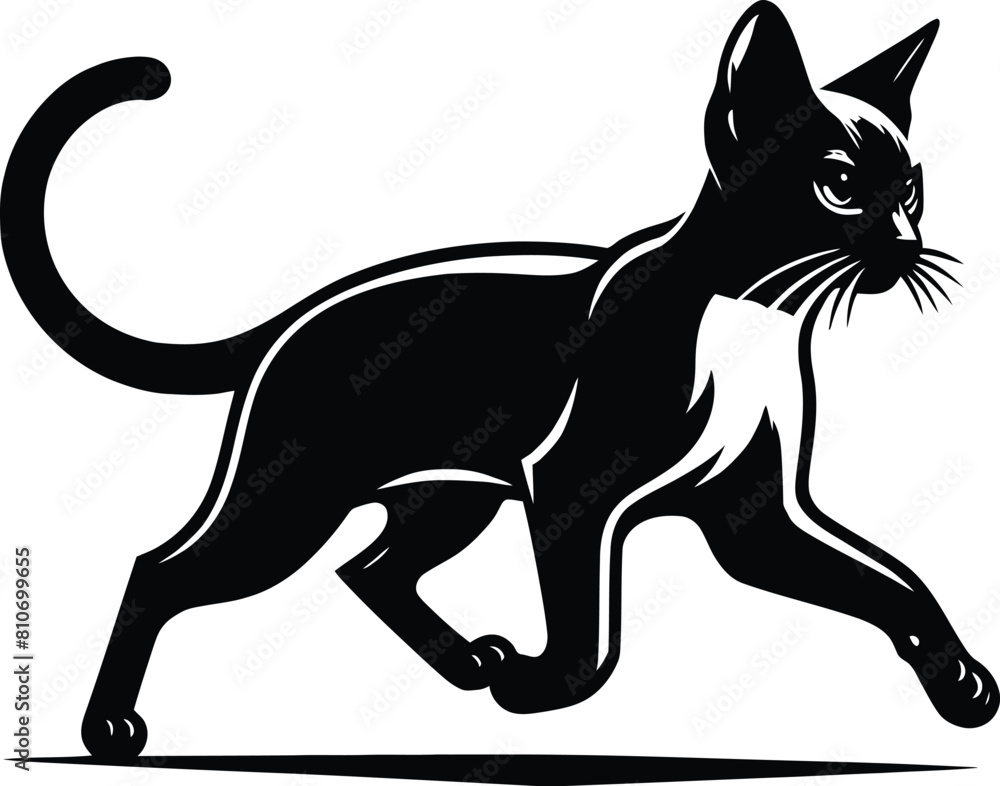 Obraz premium cat silhouette vector