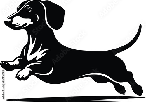 dog breed silhouette  