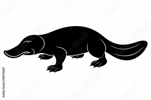 A platypus silhouette black vector artwork illustration 
