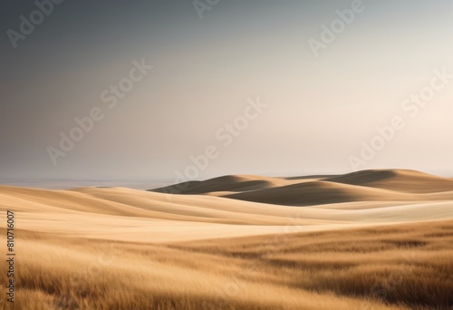 illustration  sweeping minimalist serene open vistas spacious horizons  panoramic  views  vast  landscapes  spaces  tranquil  scenery  expansive  peaceful  panoramas