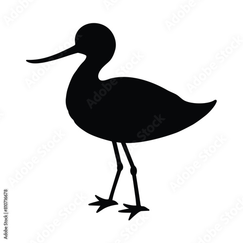 silhouette of a animal avocet on white