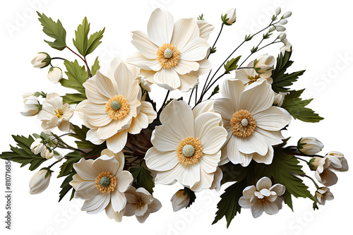 White rose flowers isolated jasmine inflorescence isolated on a clipping path. one branch with white flowers and leaves transparent background Generative Ai