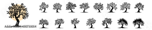 Nature's Emblem Olive Tree Vector Bundle