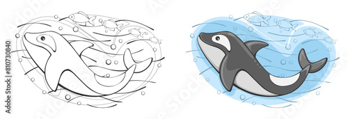 A orca whale swims in the sea with fish. Vector illustration , on an isolated background. © Natalia