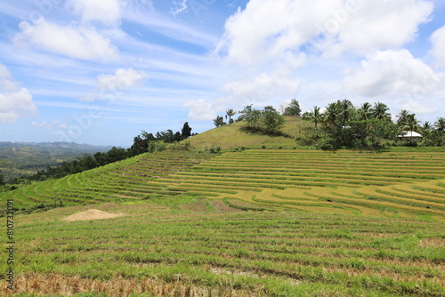 Panorama of Cadapdapan Rice Terraces in Candijay, Bohol, Philippines photo