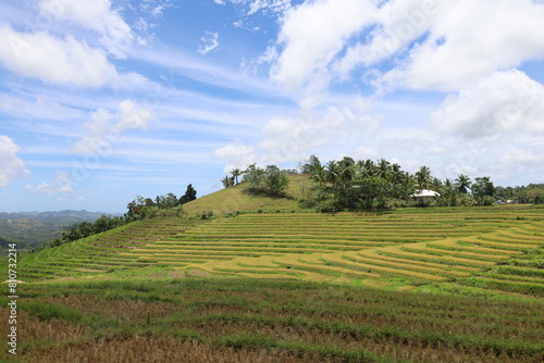 Panorama of Cadapdapan Rice Terraces in Candijay, Bohol, Philippines