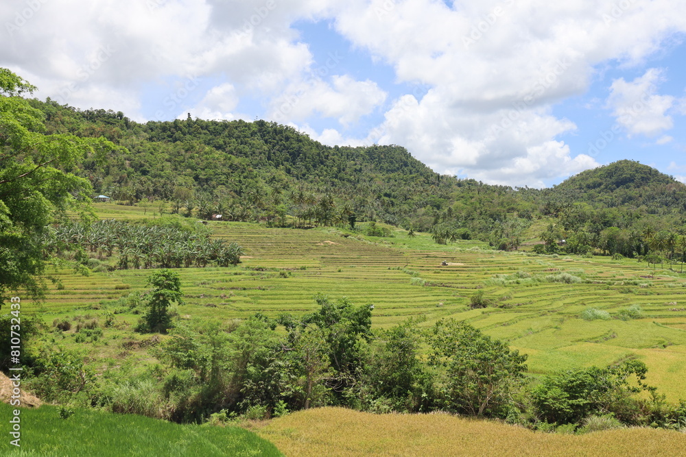 Panorama of Cadapdapan Rice Terraces in Candijay, Bohol, Philippines