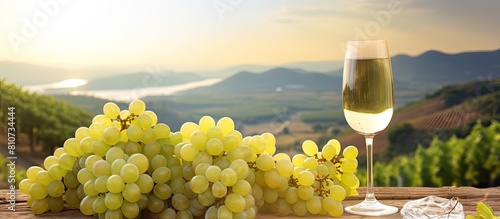 A copy space image of white wine grapes against the scenic backdrop of Badacsony mountain at a vineyard photo