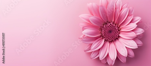 A vibrant pink flower on a pink background creating a copy space image that evokes thoughts of Valentine s Day Mother s Day or the arrival of spring This flat lay top view adds a touch of elegance