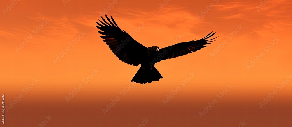 Naklejka premium A copy space image of a black kite in silhouette form