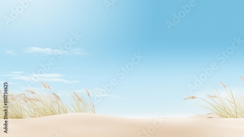 A serene landscape  a deserted beach covered with sparse dry grass on the shore of a calm sea on a quiet summer day.