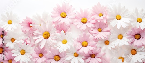 A copy space image featuring a top down view of fresh daisies