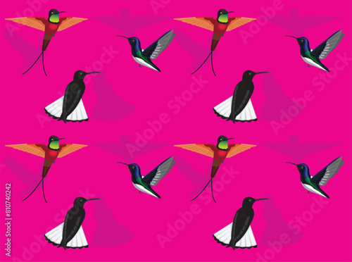 Bird Hummingbird Jacobin Topaz Cartoon Cute Seamless Wallpaper Background photo