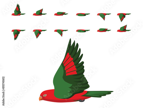 Bilde på lerret Bird Red Parrot Chattering Lory Flying Animation Sequence Cartoon Vector