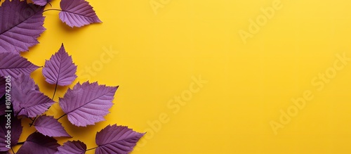 Aesthetic autumn leaves in vibrant yellow hues with a copy space image set against a striped violet backdrop