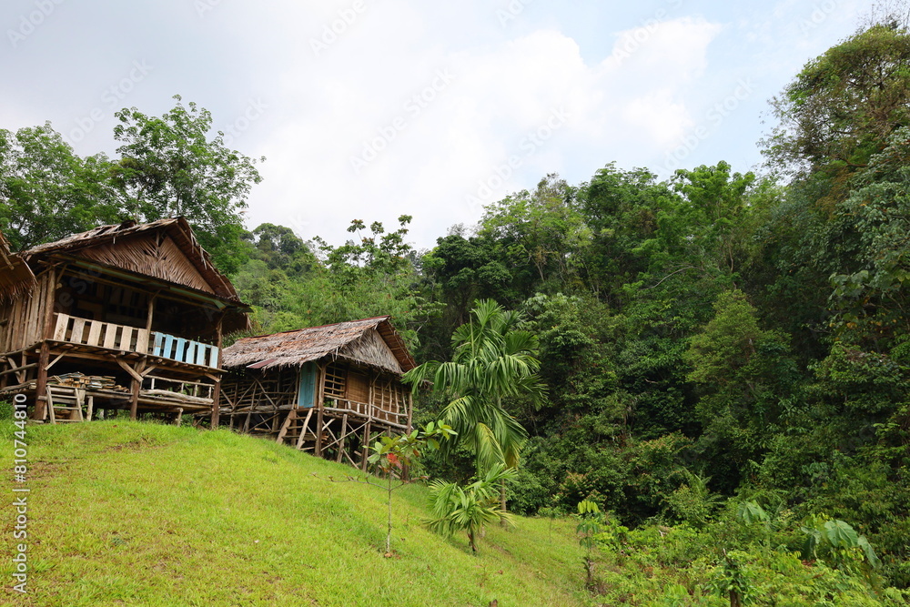 Scenery of lush jungle at Bukit Lawang - Gunung Leuser National Park Scenery of lush jungle at Bukit Lawang - Gunung Leuser National Park