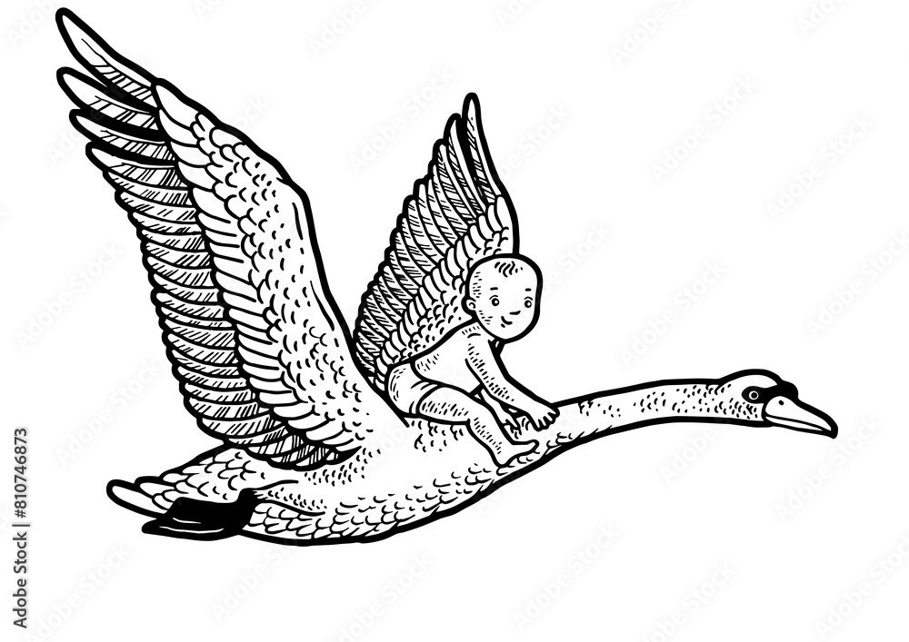 Obraz premium baby flying by swan sketch PNG illustration