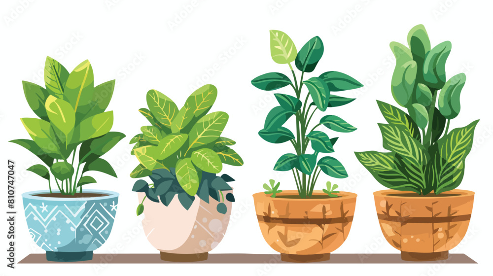 Four of houseplants in pots vector flat illustration.