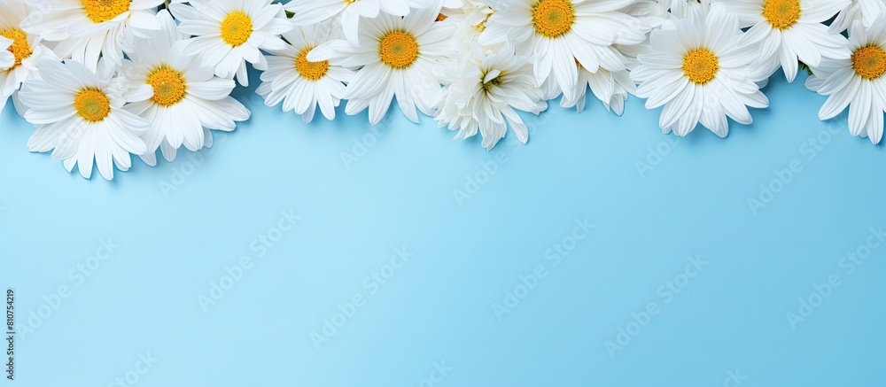 A floral arrangement of yellow and white daisies and petals on a blue background with blank letter papers creating a beautiful spring or summer copy space image for design purposes A floral arrangement of yellow and white daisies and petals on a blue background with blank letter papers creating a beautiful spring or summer copy space image for design purposes