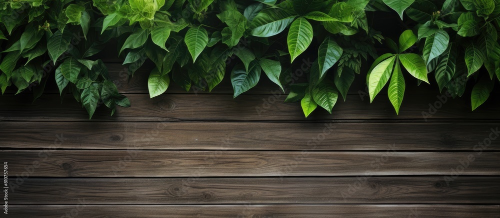 Wooden background with lush green leaves providing a copy space image