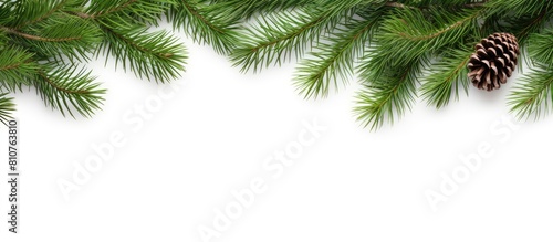 A festive Christmas frame featuring branches of pine trees set against a white backdrop with ample space for adding images or text