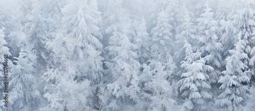 Snow covered Christmas tree branches with a textured appearance in the snow The image serves as a background with ample copy space