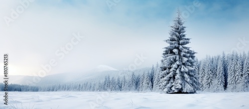 Wallpaper Mural Winter sky provides a milky backdrop for a snow covered evergreen fir tree creating a captivating copy space image Torontodigital.ca