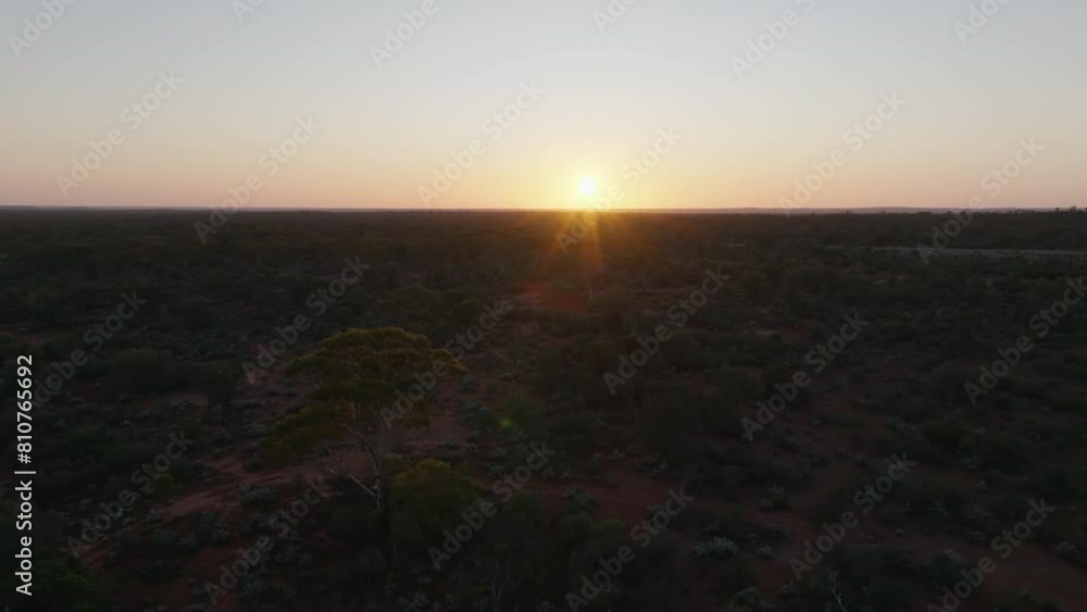 Drone clip of early morning sunrise over Australian outback, with lush vegetation and Eucalyptus trees Drone clip of early morning sunrise over Australian outback, with lush vegetation and Eucalyptus trees