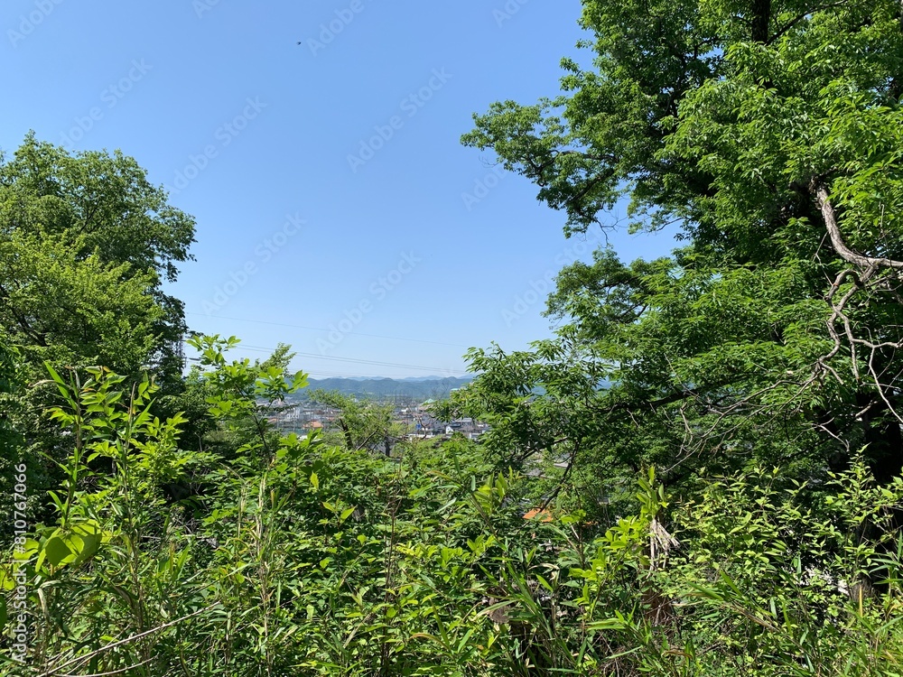 佐野城跡の景色 佐野城跡の景色