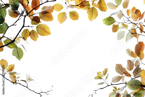 Vector clipart of a green leaf on a transparent background, featuring fresh summer foliage with high-resolution detail, ideal for environmental logos or design overlays.