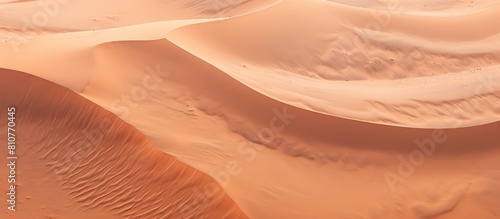 The desert sand s shape and texture can be seen in the copy space image