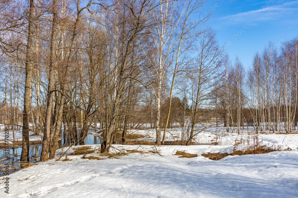  The ground is partially covered with snow, and a river or creek flows through the scene with patches of open water reflecting the surrounding trees.