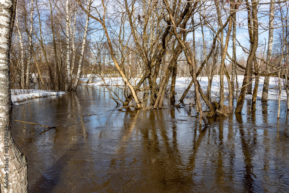 A flooded forest scene with bare birch trees and patches of snow, reflecting in the water. Sunlight illuminates the leafless branches and the waterlogged ground A flooded forest scene with bare birch trees and patches of snow, reflecting in the water. Sunlight illuminates the leafless branches and the waterlogged ground
