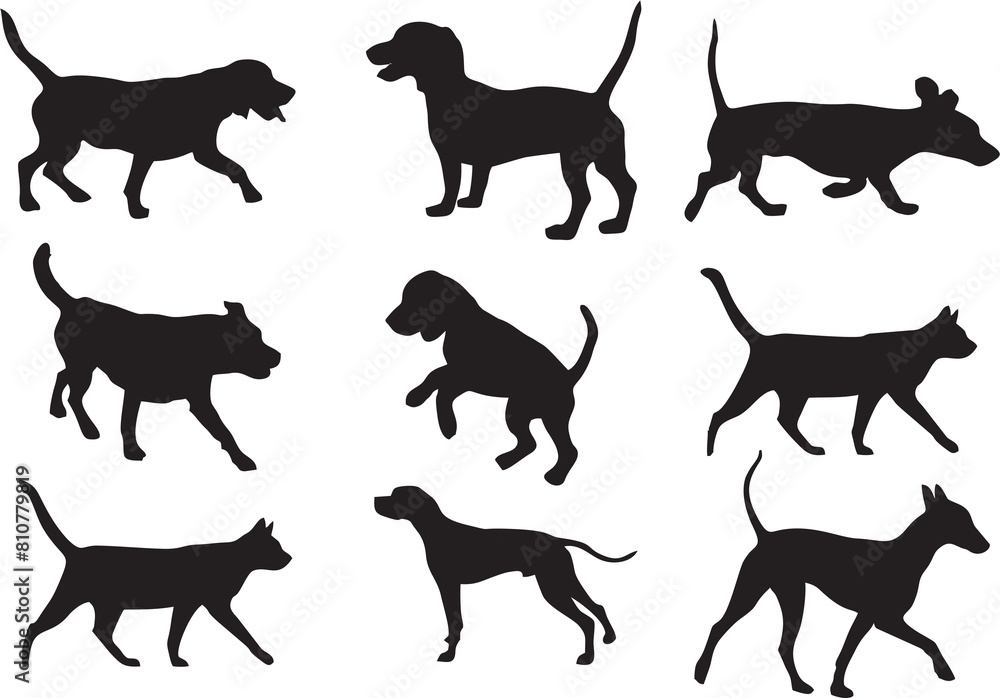 Dog icons for different Breeds.Hunting hound dog silhouettes on white background. Foxhound and dogs in multiple poses and positions for designing online games, poster or flyer for media and web. 