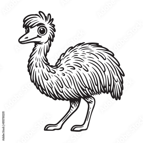 Line art of Common Emu bird cartoon vector