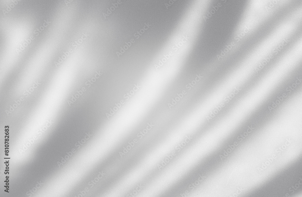 Fototapeta premium interior wall studio of moving leaves, sunlight, natural shadows overlaid on a white background.Summer concept