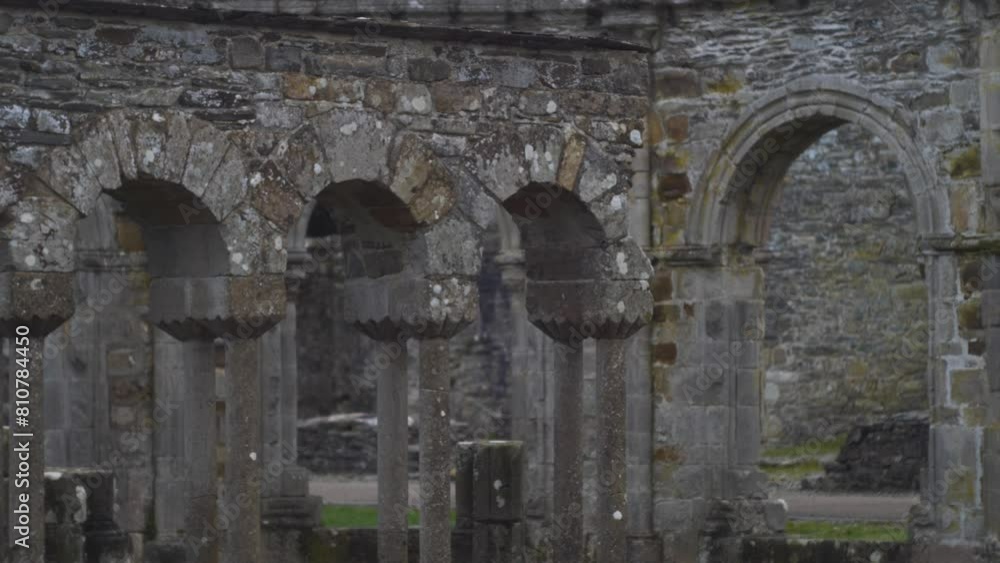 Old Mellifont Abbey ruins in Drogheda, Ireland, captured with a vintage Helios lens, showcasing historical architecture Old Mellifont Abbey ruins in Drogheda, Ireland, captured with a vintage Helios lens, showcasing historical architecture