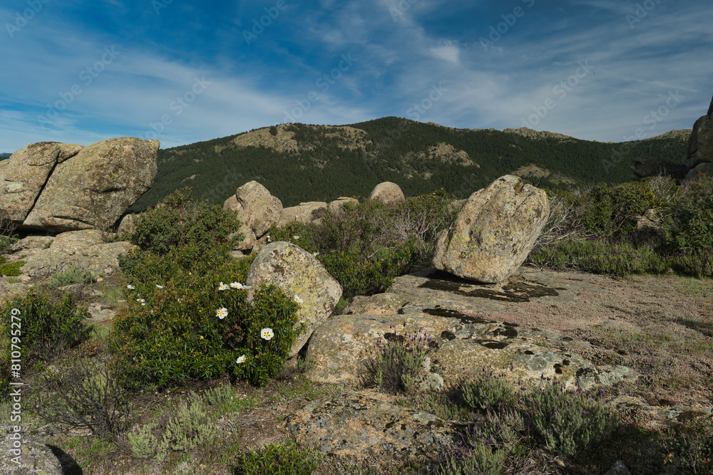 landscape, view, mountains, spring, nature, plants, spain, green landscape, view, mountains, spring, nature, plants, spain, green