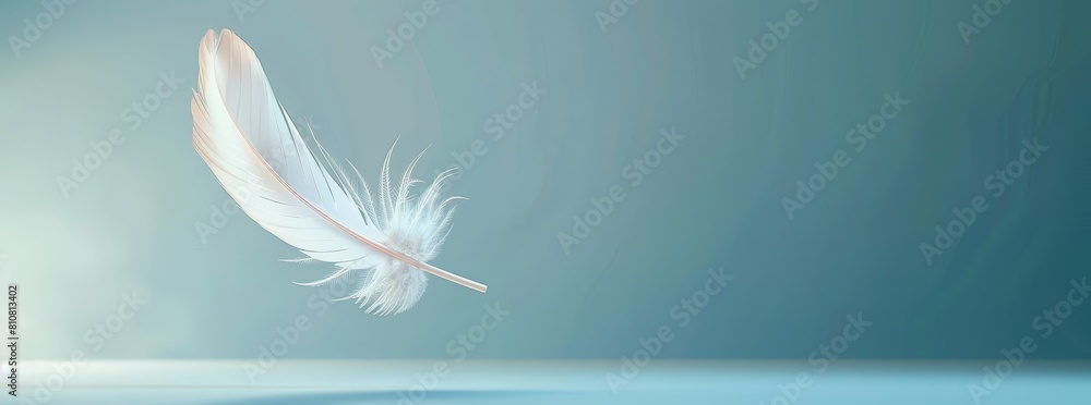 Obraz premium One feather falling against a soft blue background