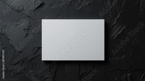 Minimalist White Canvas on Textured Black Wall