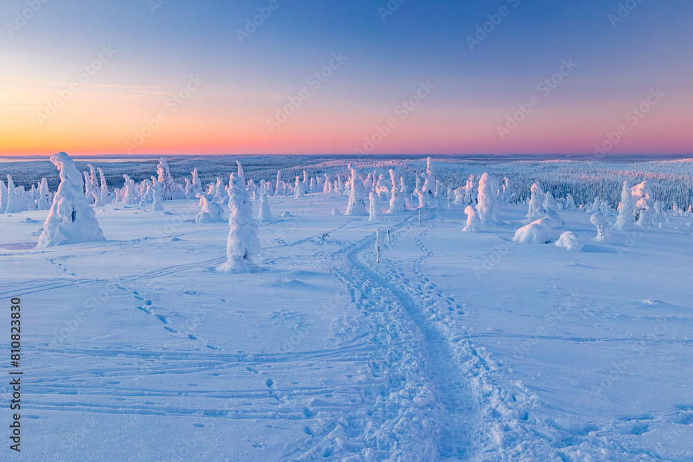 winter landscape with snow winter landscape with snow