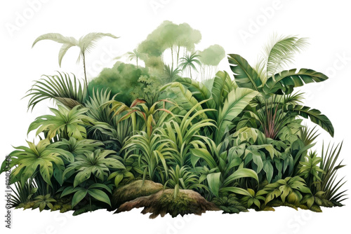 A lush green jungle with many trees and plants. The jungle is full of life and is a beautiful representation of nature