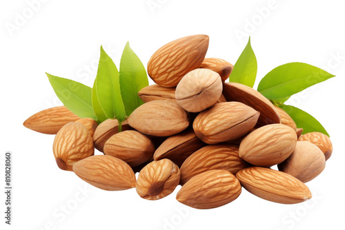 A pile of almonds with green leaves on top. The almonds are of different sizes and are scattered around the leaves