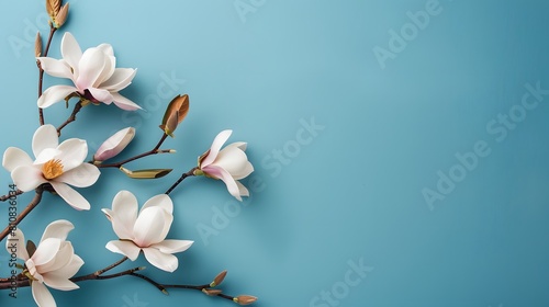 Magnolia Branches with Blossoms on Blue Background