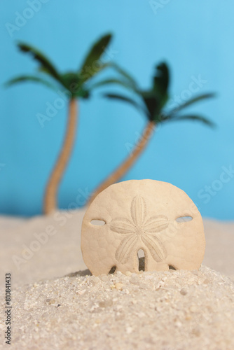 Summertime Beach Scene With Shells and Palm Trees Shallow DOF