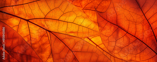 Close-up of autumn leaves texture  abstract nature background  generated ai 
