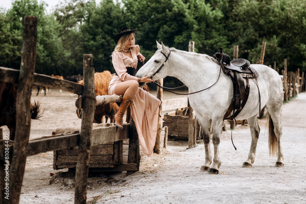 Beautiful blonde girl in a long dress with a white horse Beautiful blonde girl in a long dress with a white horse