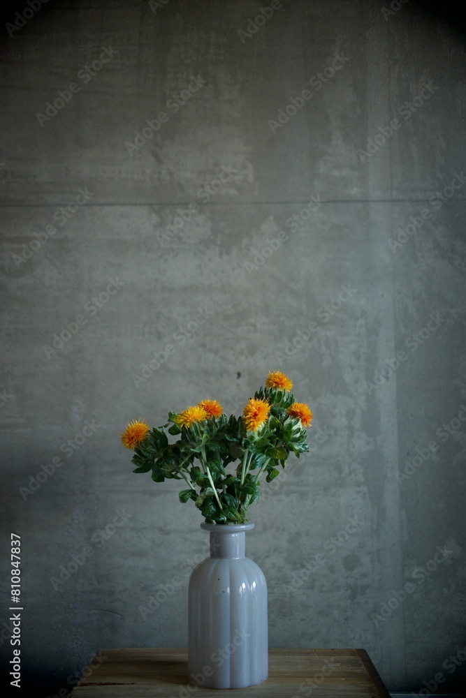 紅花の花 紅花の花